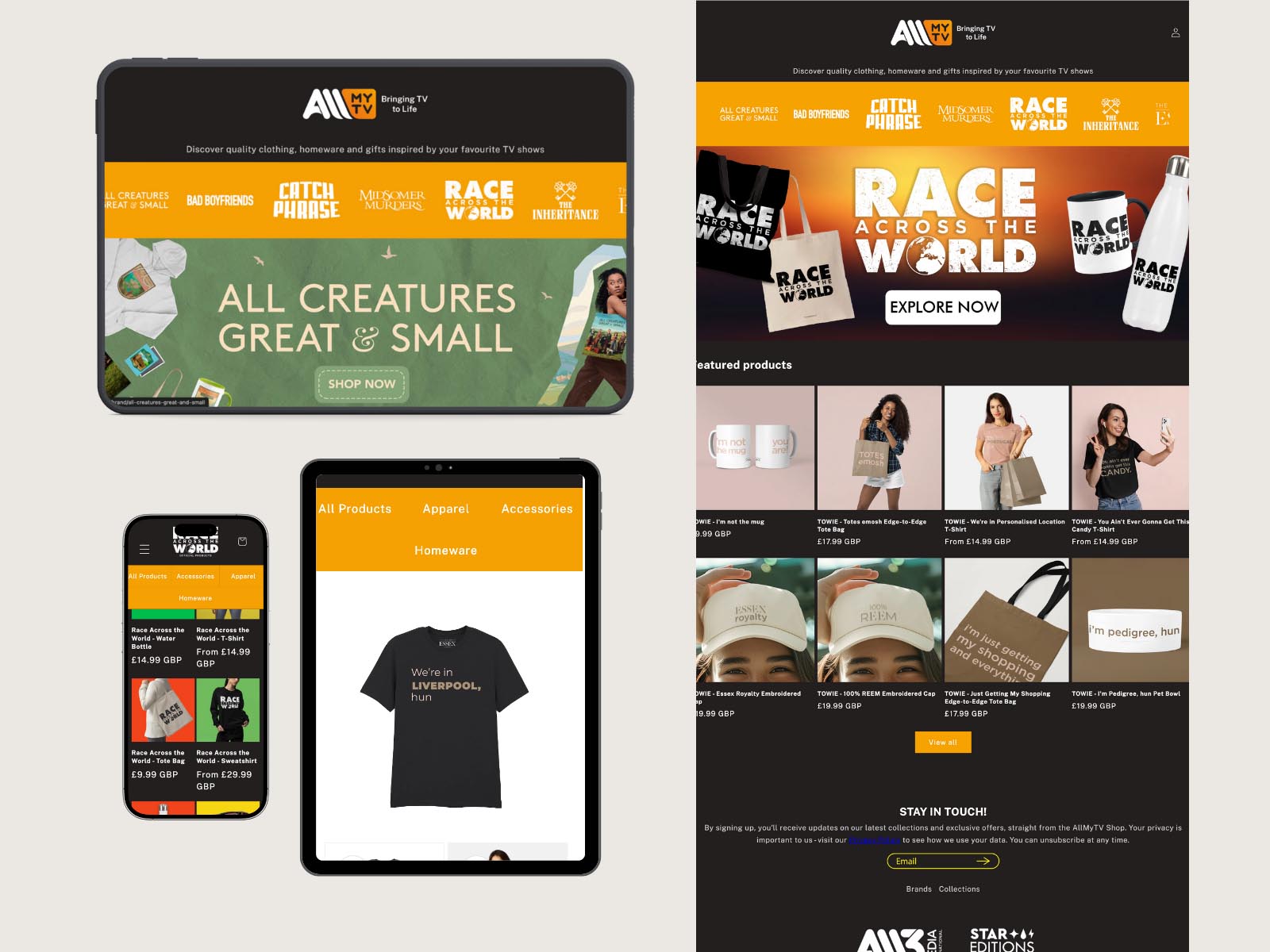 Professional Web Development & E-commerce Solutions - Theme Development for AllMyTV.com screenshot